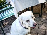 20170805_092100(0)-2.JPG