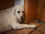 20170805_125610-2.JPG
