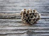 20170805_173542(0)-2.JPG