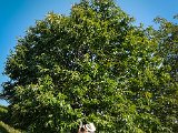 20170805_174459-2.JPG