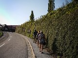 20170805_175944(0)-2.JPG