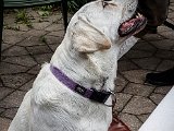 20170806_102310-2.JPG