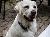 20170806_102317-2.JPG
