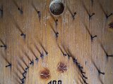 20170806_141807(0)-2.JPG