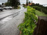 20170806_191101-2.JPG