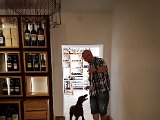 20170807_103207-2.JPG