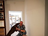 20170807_103222-2.JPG