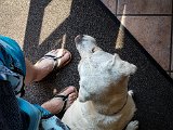 20170808_110411-2.JPG