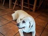 20170808_110542-2.JPG