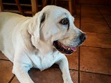 20170808_110559-2.JPG
