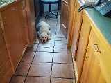 20170808_132626-2.JPG