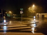 20170810_221222.JPG