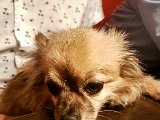 20170810_225900.JPG