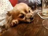20170810_230623.JPG