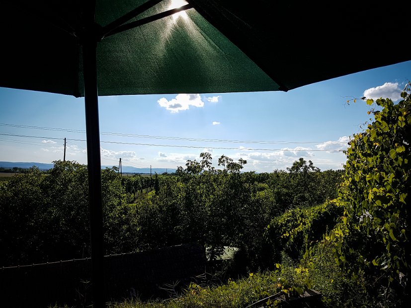 20170814_171551(1)