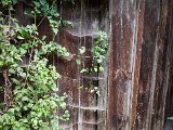 20170813_150502.JPG