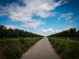 20170813_151728(0).JPG