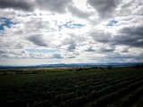 20170813_152255.JPG