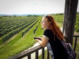 20170813_152339.JPG
