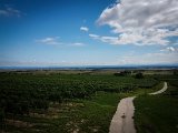 20170813_152347(0).JPG