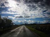 20170813_170230(0).JPG