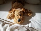 20170813_170859(0).JPG