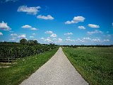20170814_154401.JPG