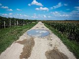 20170814_155123(0).JPG