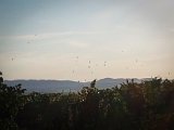 20170814_191103.JPG