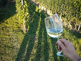 20170814_191255(0).JPG