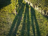 20170814_191301.JPG