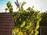 20170814_191944.JPG