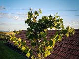 20170814_192049.JPG