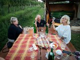 20170814_201344(0).JPG