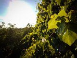 20170815_183109.JPG