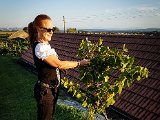 20170815_191448.JPG