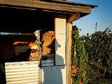 20170815_192329.JPG