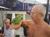 20170826_140412-2.JPG