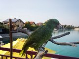 20170826_173403-2.JPG