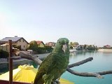 20170826_173412-2.JPG