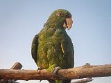 20170826_192114-2.JPG