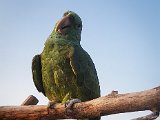 20170826_192148-2.JPG