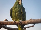 20170826_192259-2.JPG