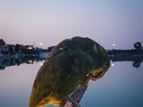 20170826_201106-2.JPG