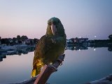 20170826_201129(0)-2.JPG