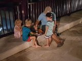 20170826_204430-2.JPG