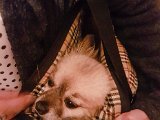 20170908_235228.JPG