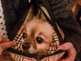20170908_235232.JPG