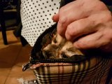 20170909_000047.JPG