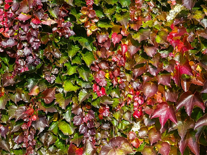 20171021_145032